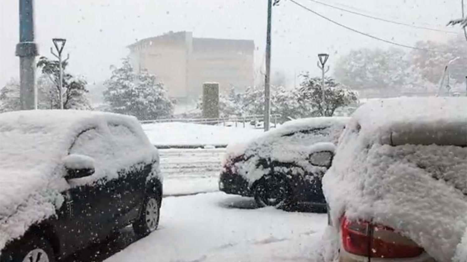 Una nevada cubre de blanco a Ushuaia en plena primavera: imágenes