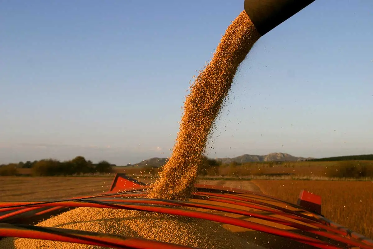 Una noticia falsa sobre retenciones corrió como reguero de pólvora en el sector agropecuario