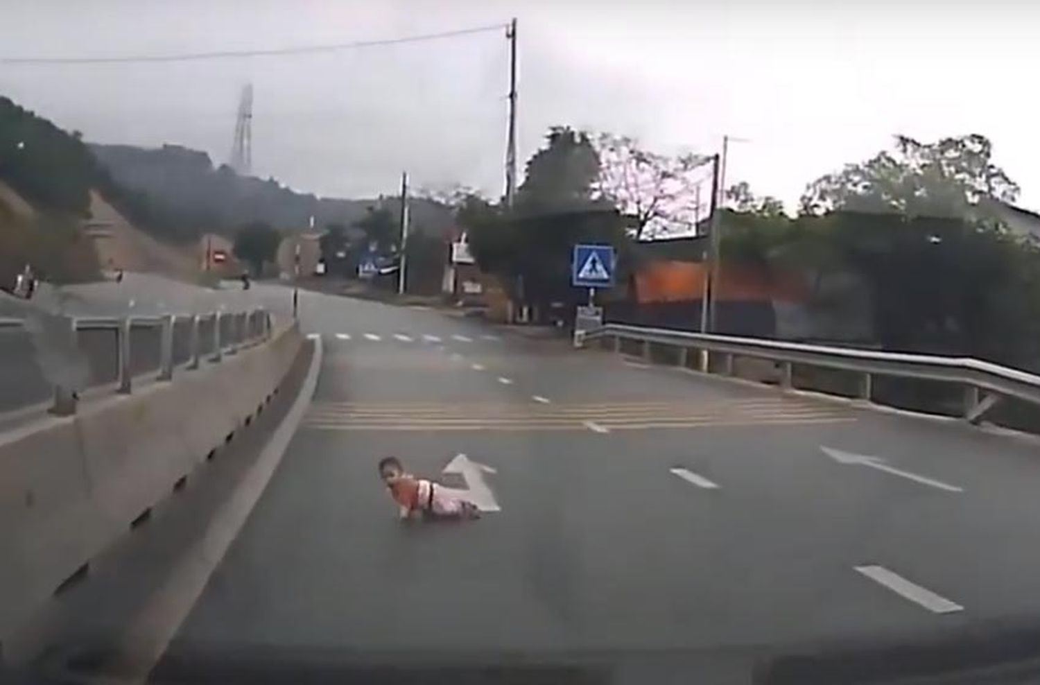 Video: un nene gateó en plena autopista