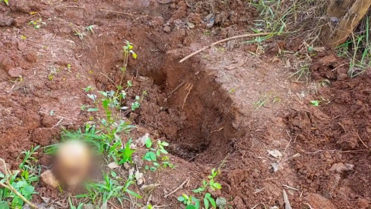 ¡HORROR EN BOLÍVAR!  Hallan nueva fosa común en mina ilegal