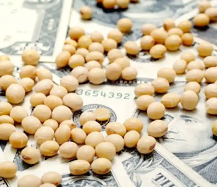 El nuevo dólar soja no conlleva ventajas a los productores y afecta a otras actividades