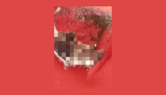 Espantoso: una rata en el armario de la escuela
