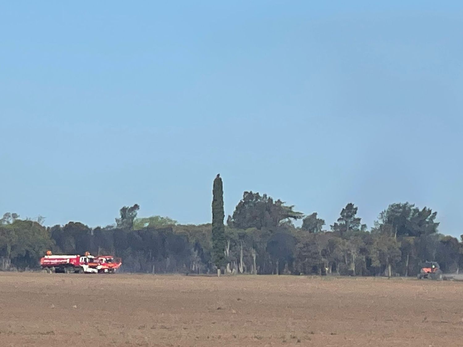 Bomberos sofocó dos incendios de pastizales y cortinas de árboles