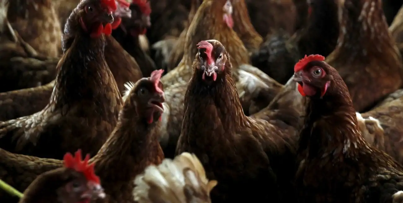 Imagen ilustrativa. Crédito: Luc Gnago/Reuters
