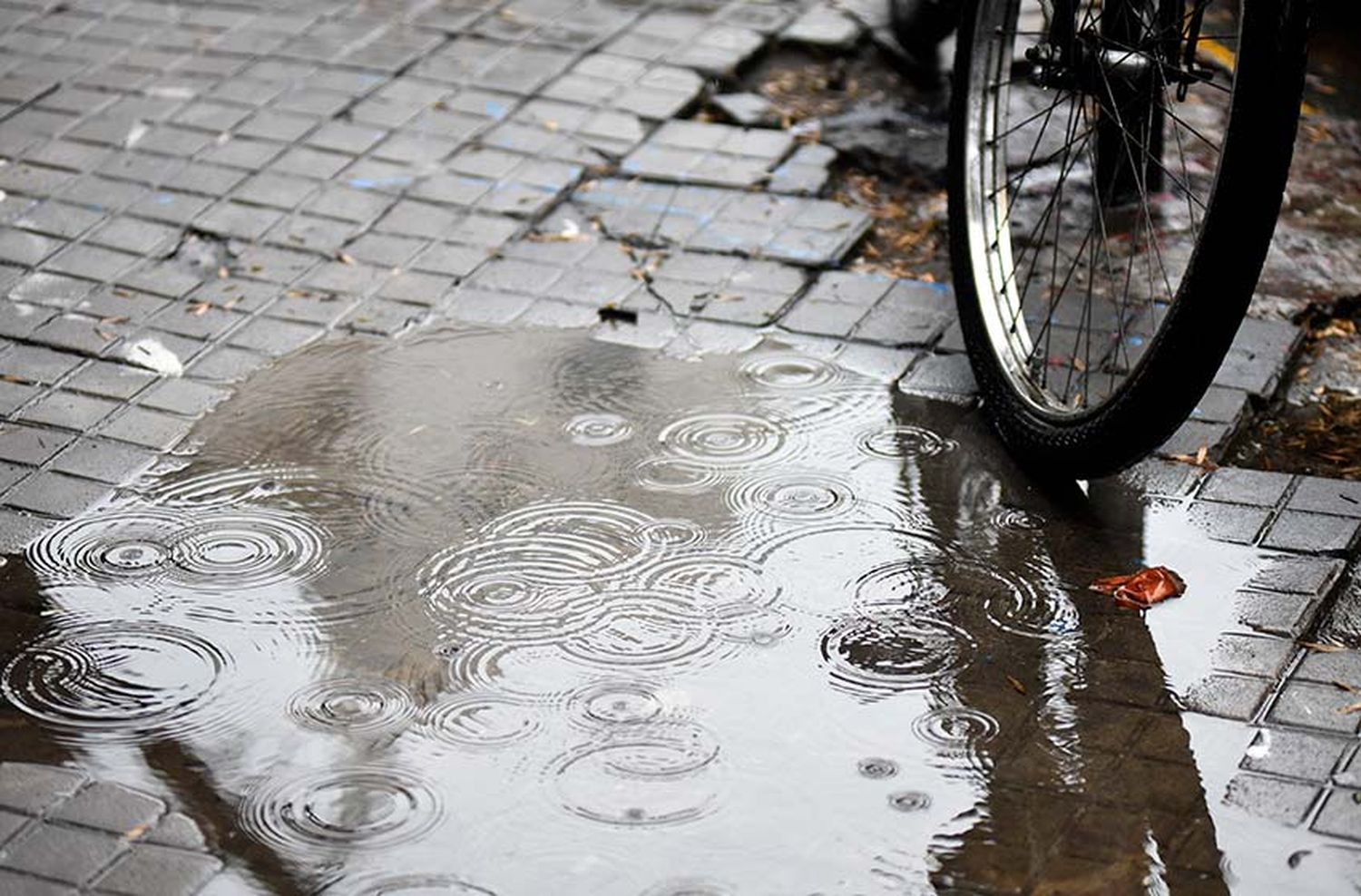 Lunes pasado por agua: hasta cuándo durará el temporal