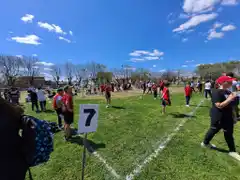 Se viene el Encuentro Interescolar de Mini Hándbol 2024