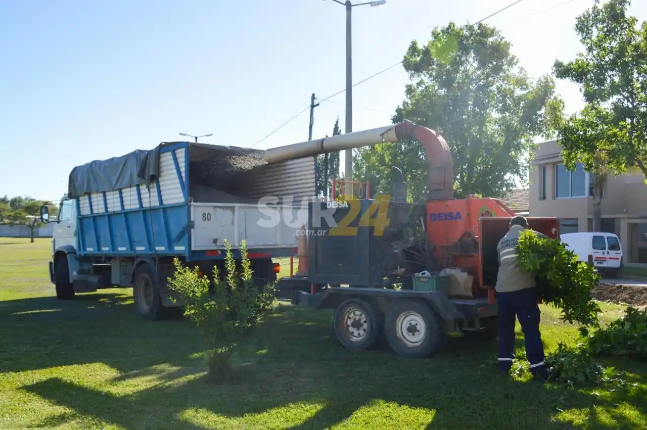 Poda, desmalezado y limpieza en plazas y espacios públicos de Venado Tuerto 