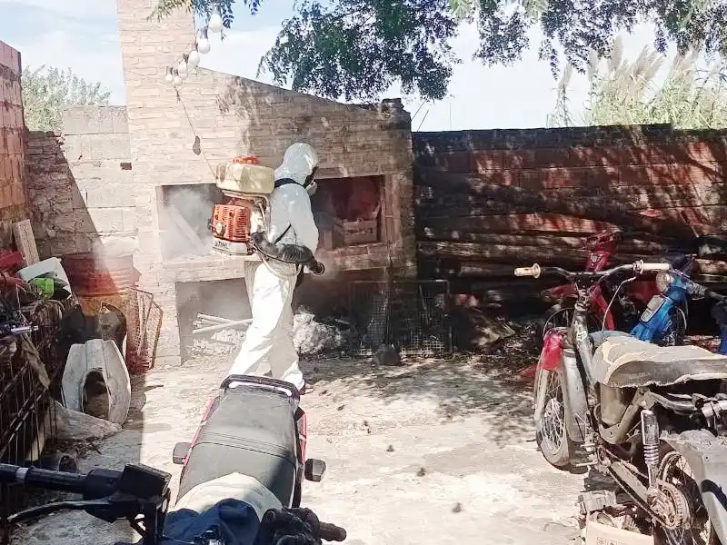 Continúan con los operativos de fumigación