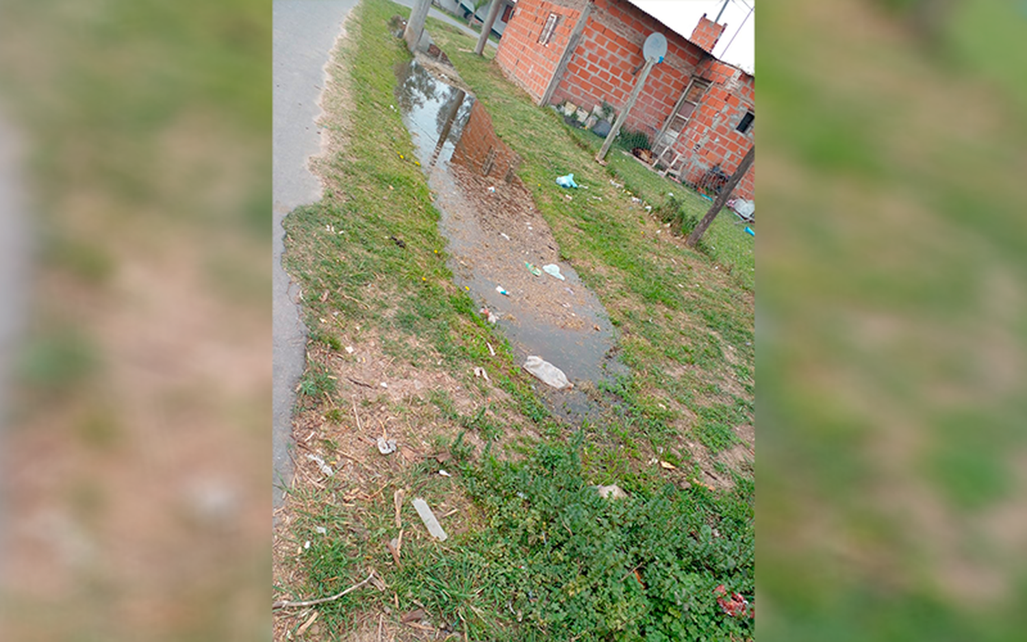 Reclamo por cloacas tapadas en calle Bozzano