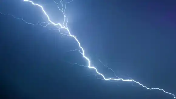 ESTABAN EMBARAZADAS: un rayo mató a 29 vacas en una finca (VIDEO)