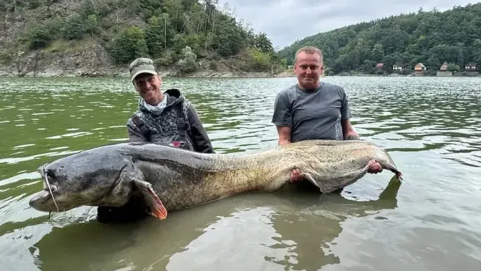 Pescaron un bagre gigante de 2,6 metros