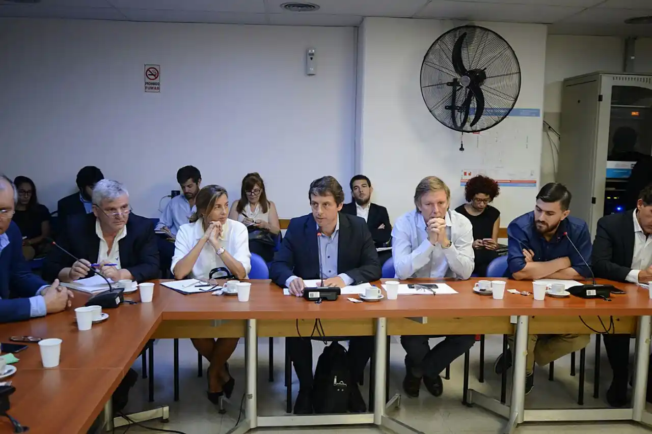 Bahillo asumió como vicepresidente de la comisión de Agricultura y Ganadería