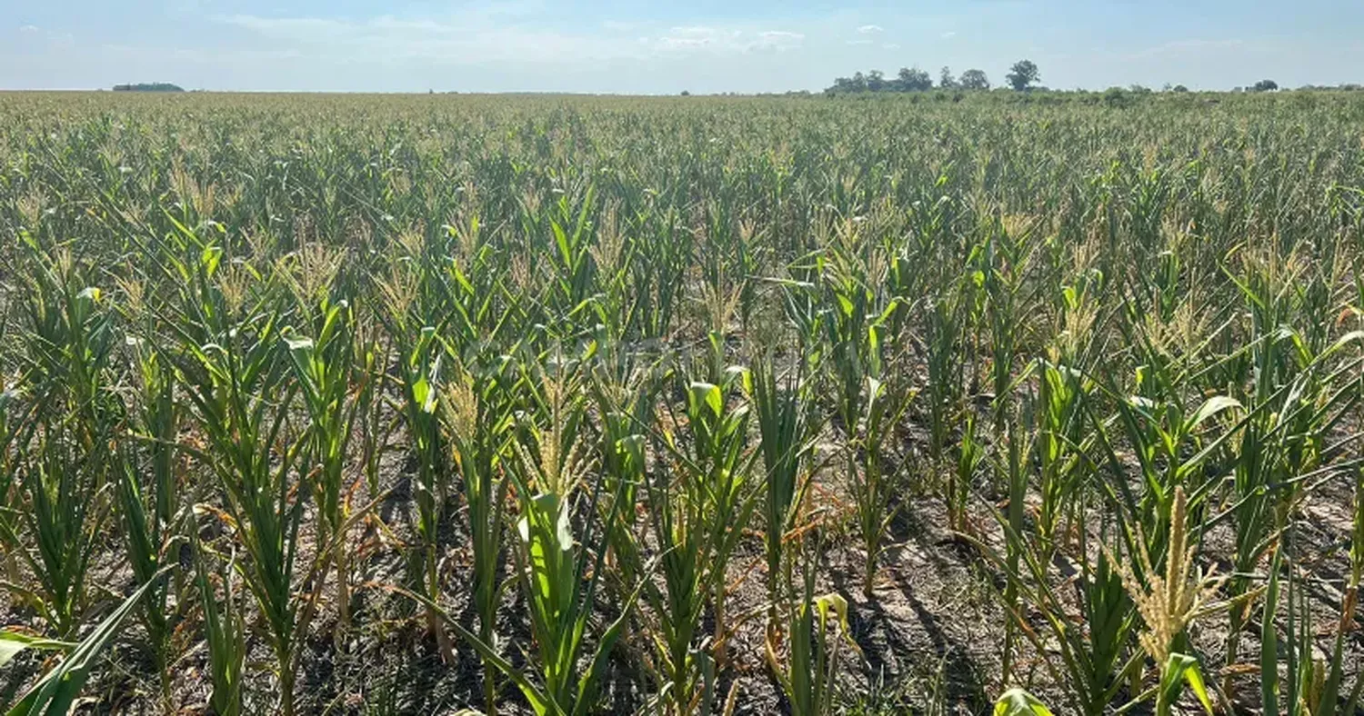 Directivos ruralistas destacaron la influencia del agro en las tres provincias.