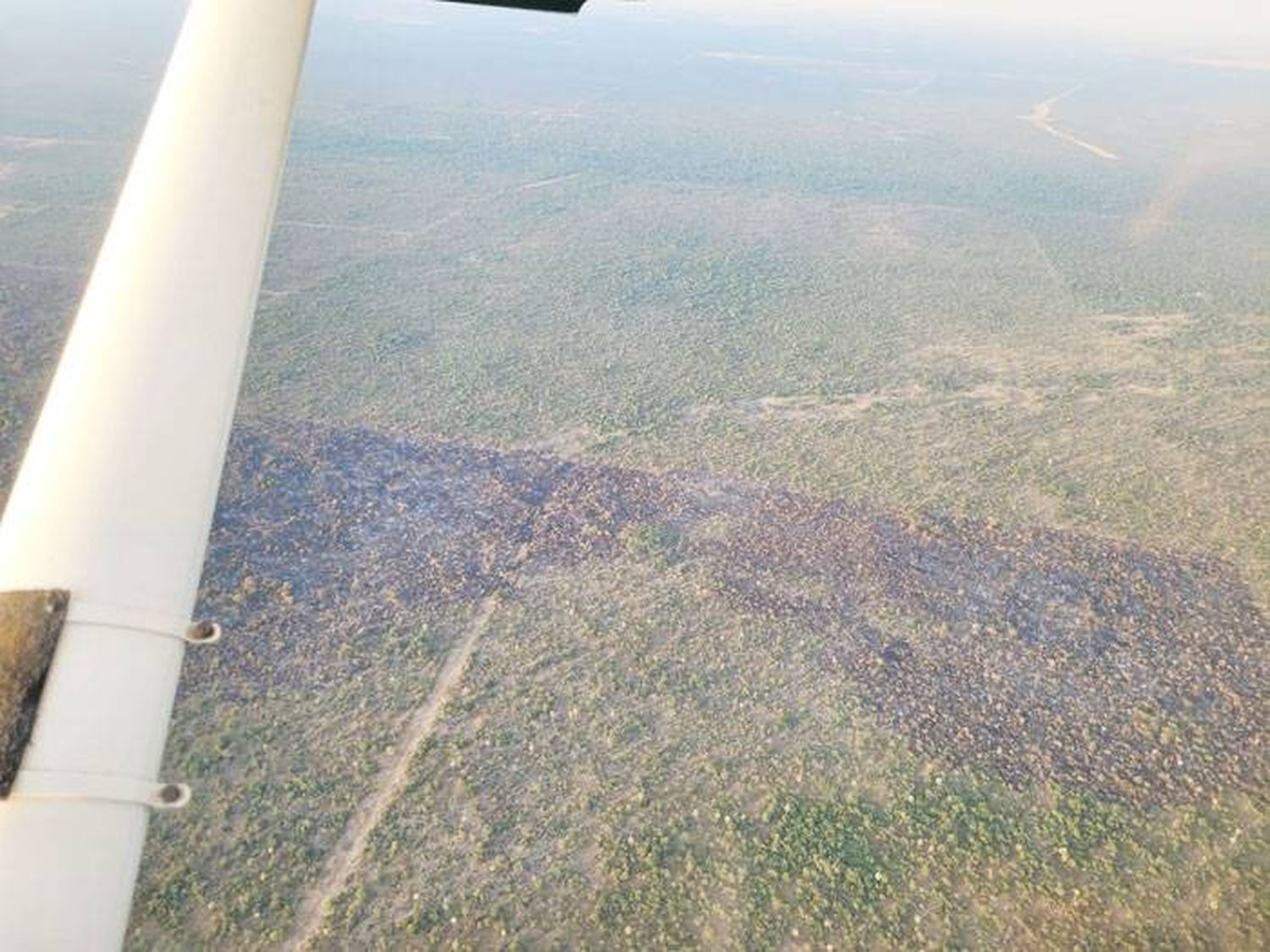 La zona de islas del Delta continúa sin focos ígneos activos