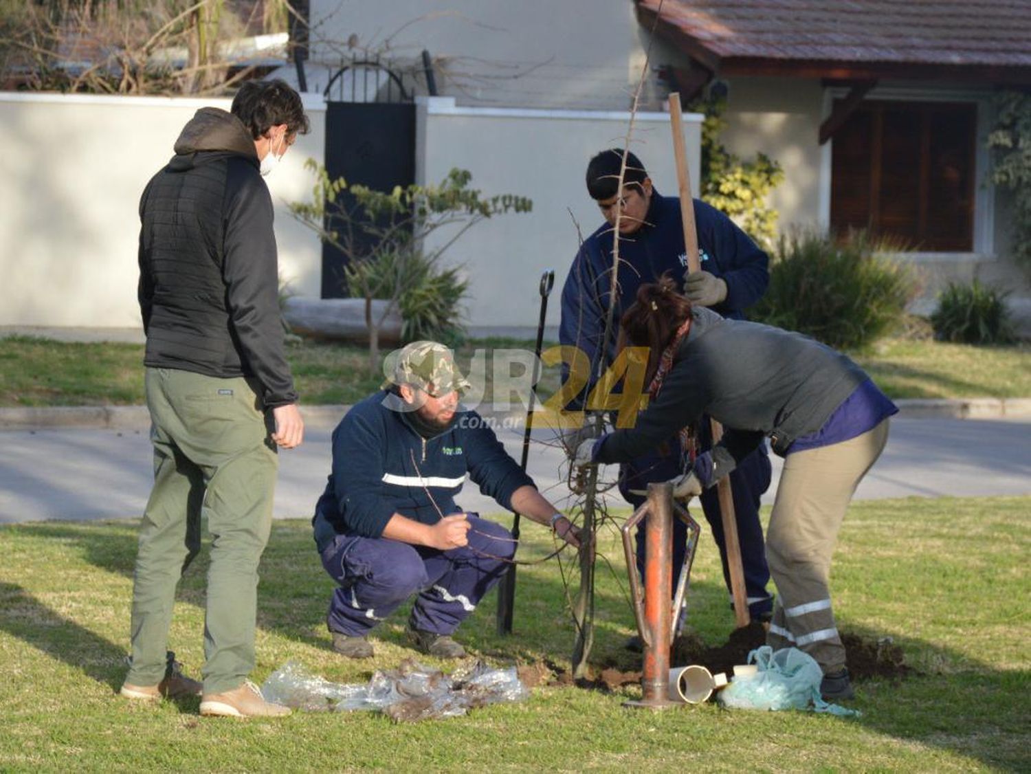 El Municipio afirmó su accionar de reforestación en plazas y espacios públicos 