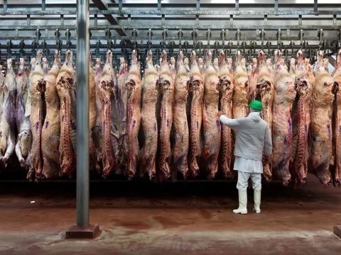 Crisis en un frigorífico: Incumplimientos con China y sueldos atrasados sacuden al sector