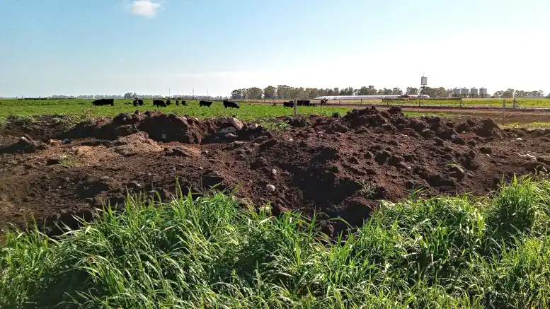 Qué muestra la radiografía ambiental de un establecimiento mixto bonaerense