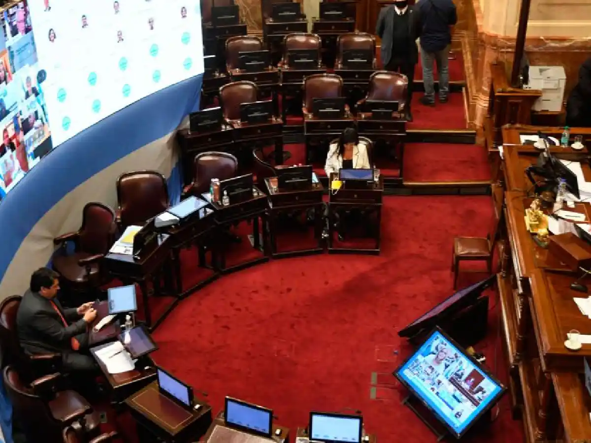 El Senado sesiona para aprobar el presupuesto 2021