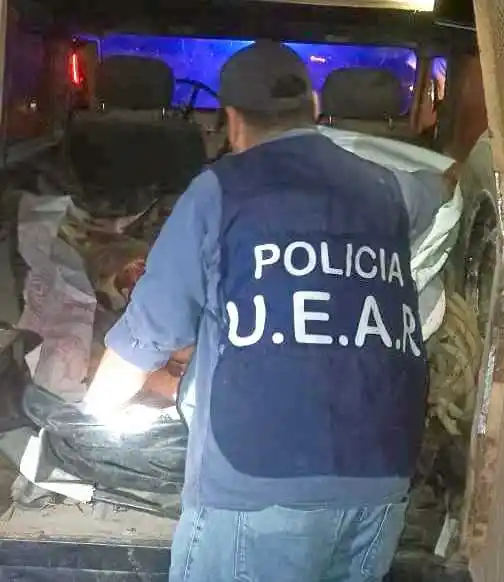 Secuestran más de 400 kilos de carne transportada sin cadena de frío