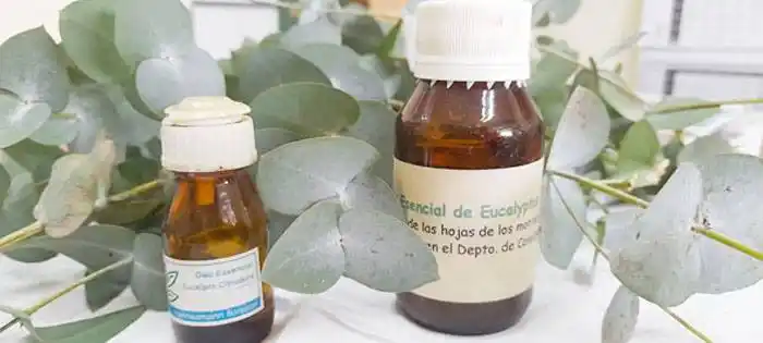 Aceite de eucalipto, natural y multipropósito