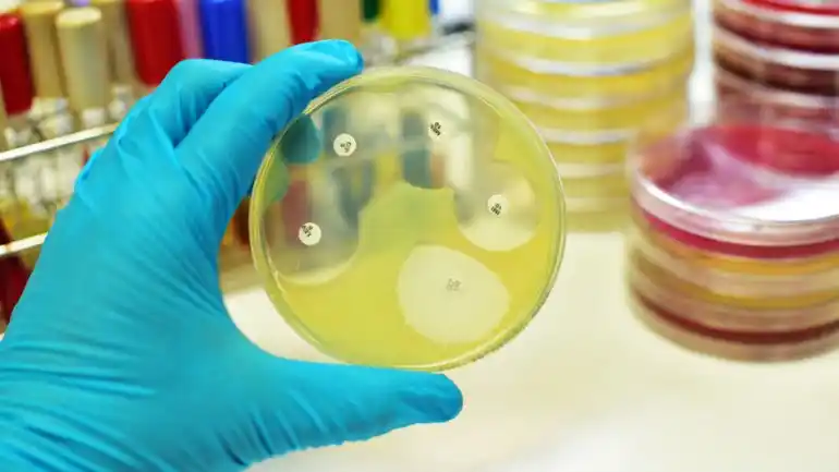 Día Mundial de la Meningitis