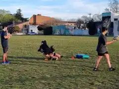 Impulsan el rugby femenino con el objetivo de quitar los prejuicios y el deseo de competir oficialmente