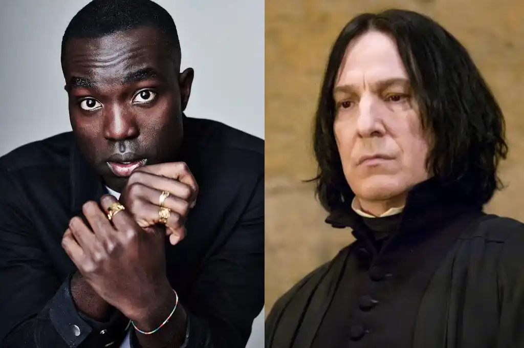 HBO dio a conocer el elenco de la esperada serie de Harry Potter