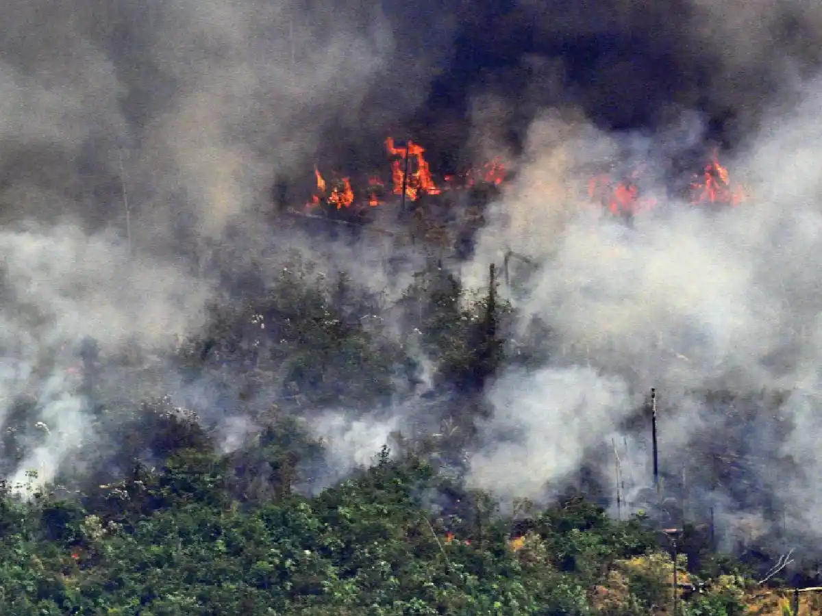 Amazonia: 13 bomberos cordobeses viajarán a combatir el fuego
