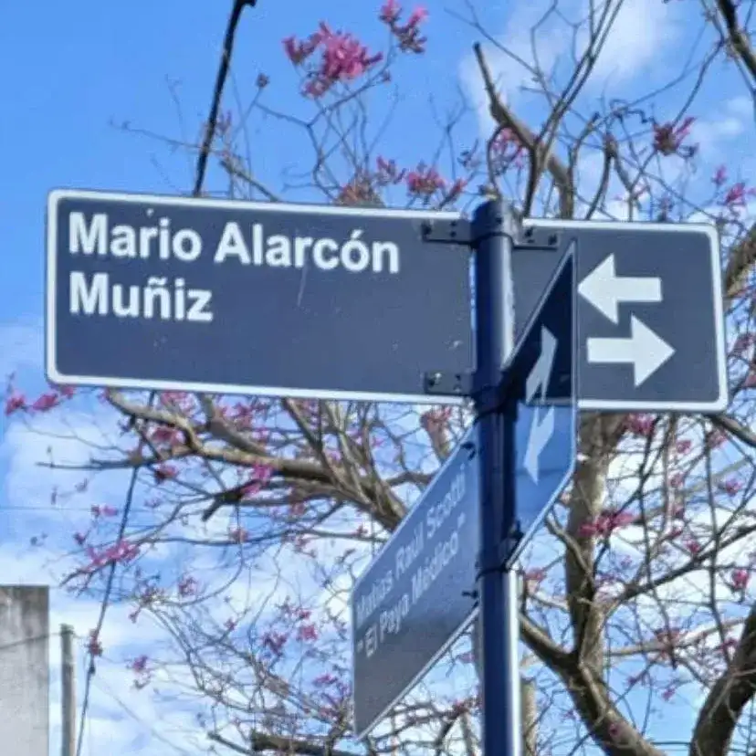 AA