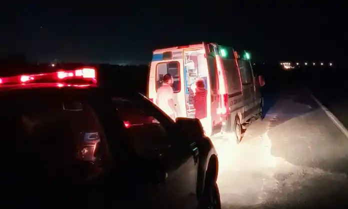 Ataque de abejas en el río: navegante fue trasladado de urgencia en Gualeguay