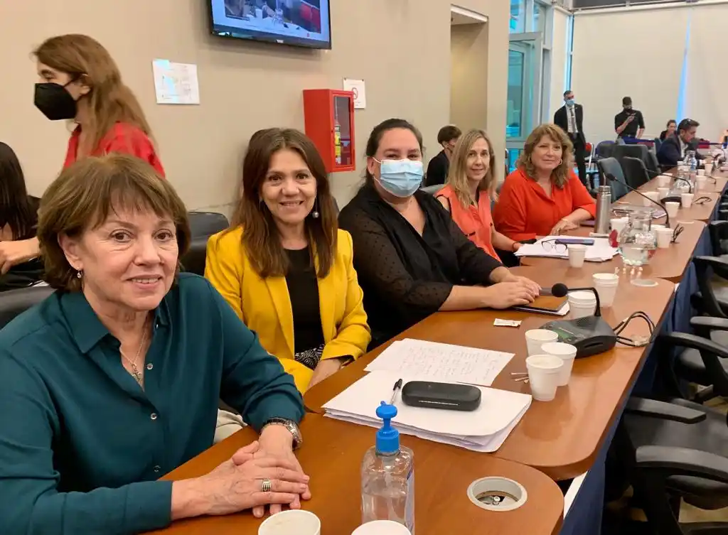 Osuna presidirá la Comisión de Educación de la Cámara de Diputados de la Nación