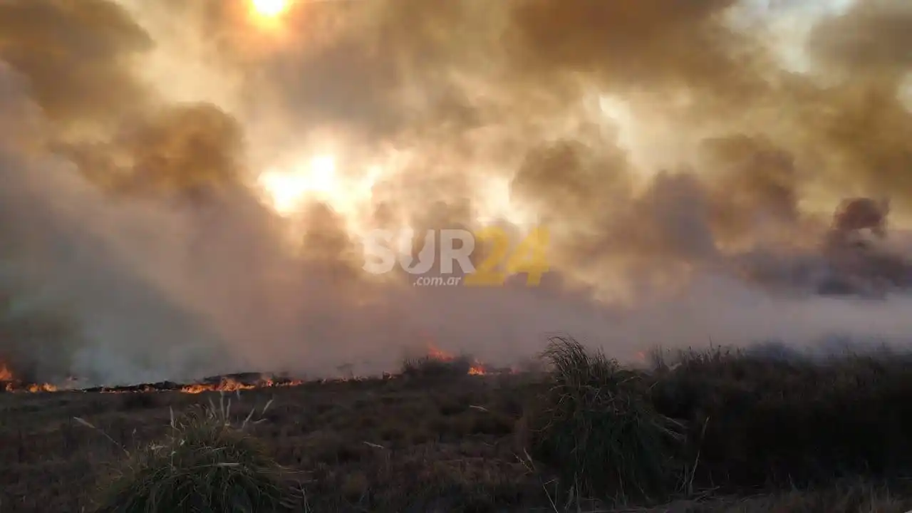 Ante reiteradas quemas de pastizales, Bomberos de Villa Cañás advierte que “son investigadas”