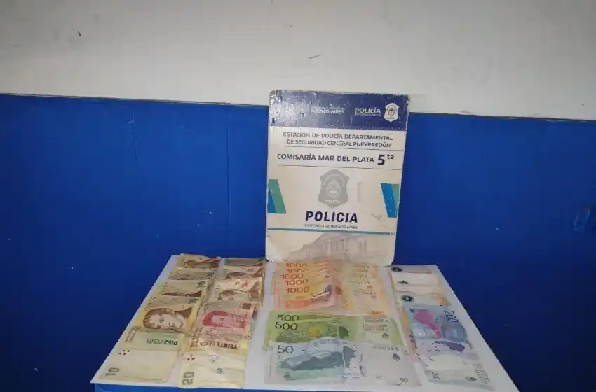 Delincuente con antecedentes fue atrapado robándole a una jubilada