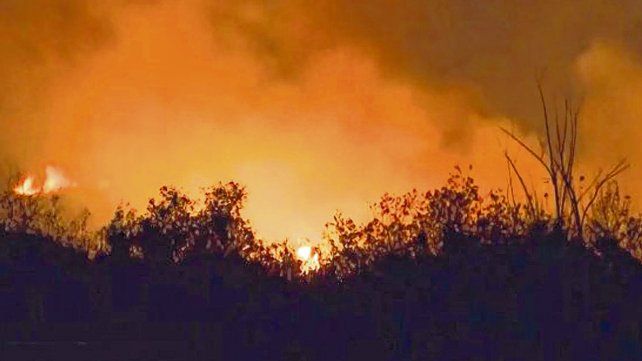 Se constituye el Comité de Emergencia Ambiental por quema de islas