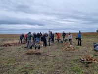 Plantación de árboles en comunidad: un impulso a la permacultura