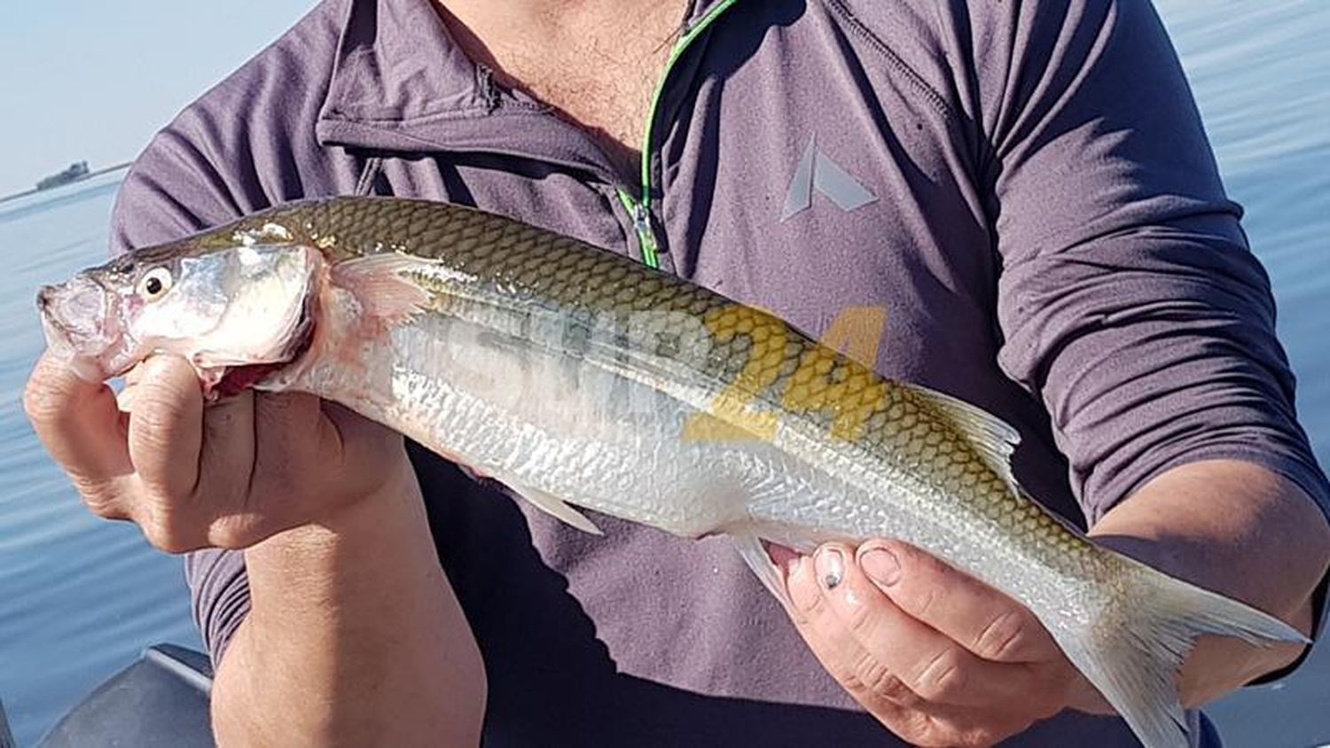 Ante el aumento de casos Covid, piensan restringir la pesca de pejerrey en Villa Cañás