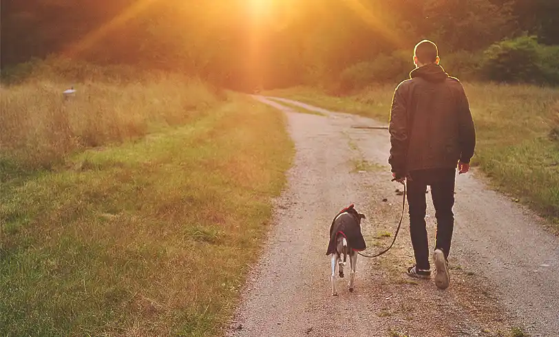 Paseaba el perro y lo amenazaron con una cuchilla