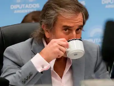 “Bertie” Benegas Lynch presidente de la comisión de Presupuesto.