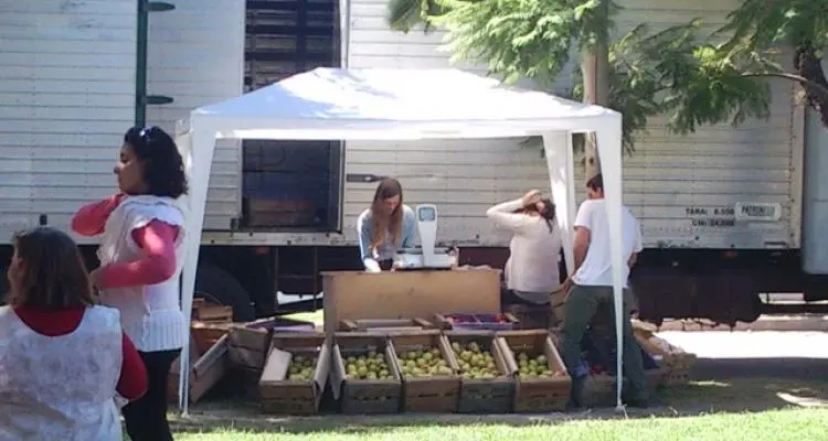 Carne, pastas, frutas y verduras para todos