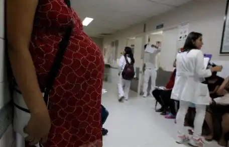 La OMS declaró la emergencia sanitaria internacional por el brote del zika