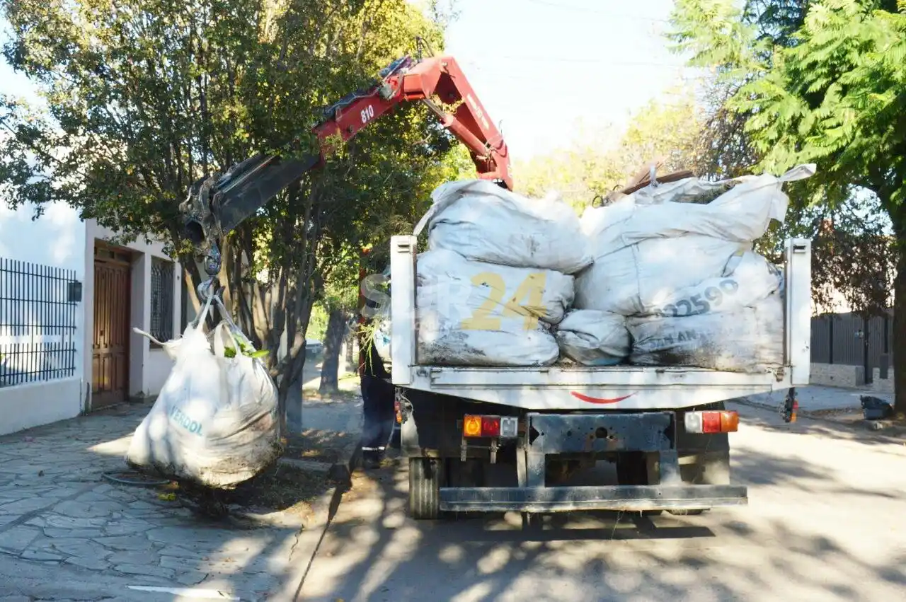 Operativo integral de limpieza en el Complejo Mateo Fernández