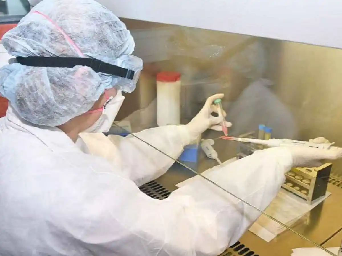 Ya se realizaron 10.709 test de coronavirus