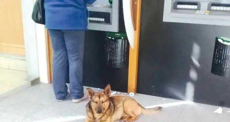 Manifestación contra la Oficina Animal