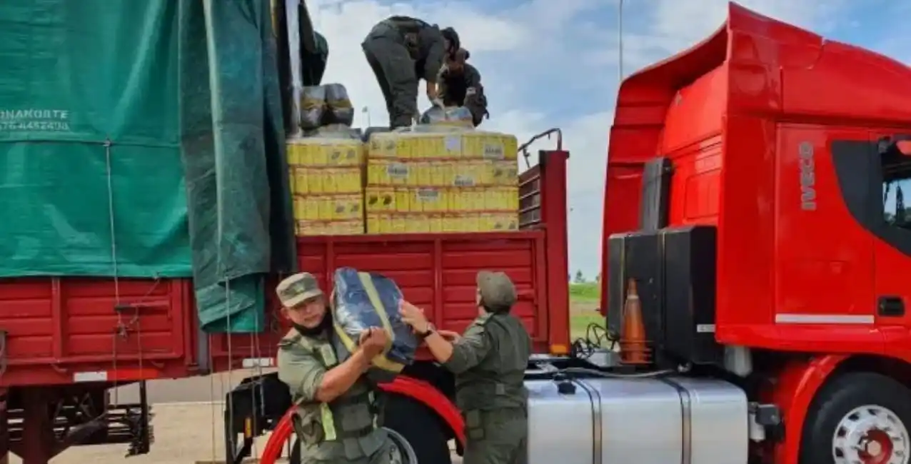 Secuestran 260 kilos de marihuana ocultos en yerba mate