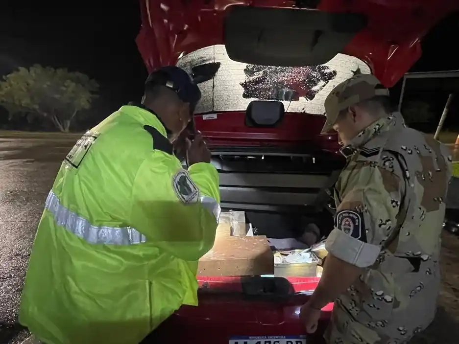 Operativo: liberan más de 40 aves silvestres transportadas ilegalmente