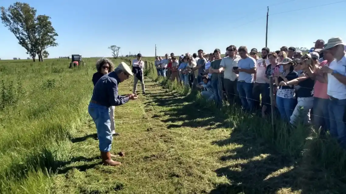 Rufino: Tercer Encuentro Panamericano sobre Manejo Agroecológico de Pasturas
