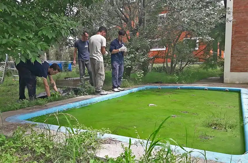 Un niño de ocho años murió ahogado luego de caerse a una pileta