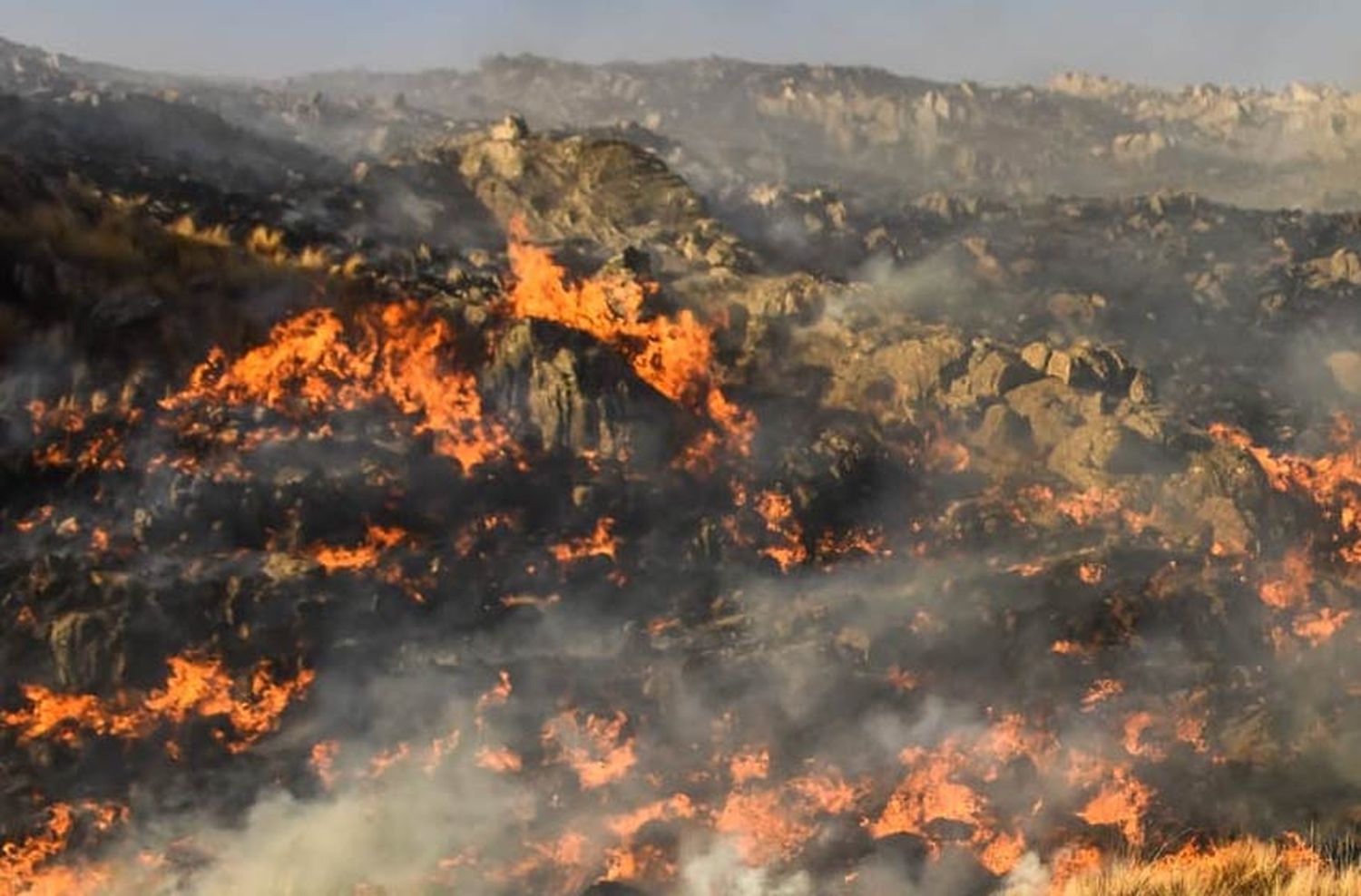 Preocupación por nuevos focos de incendios en Santa Fe, Córdoba y Entre Ríos