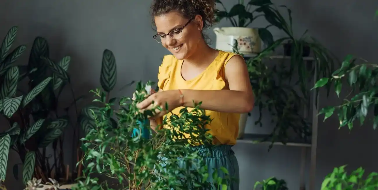 Hojas verdes que muestran distintos tonos y texturas.