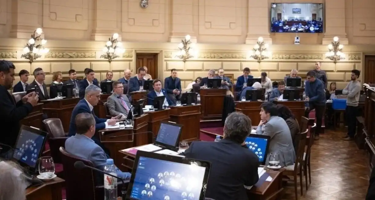 senado electoral
